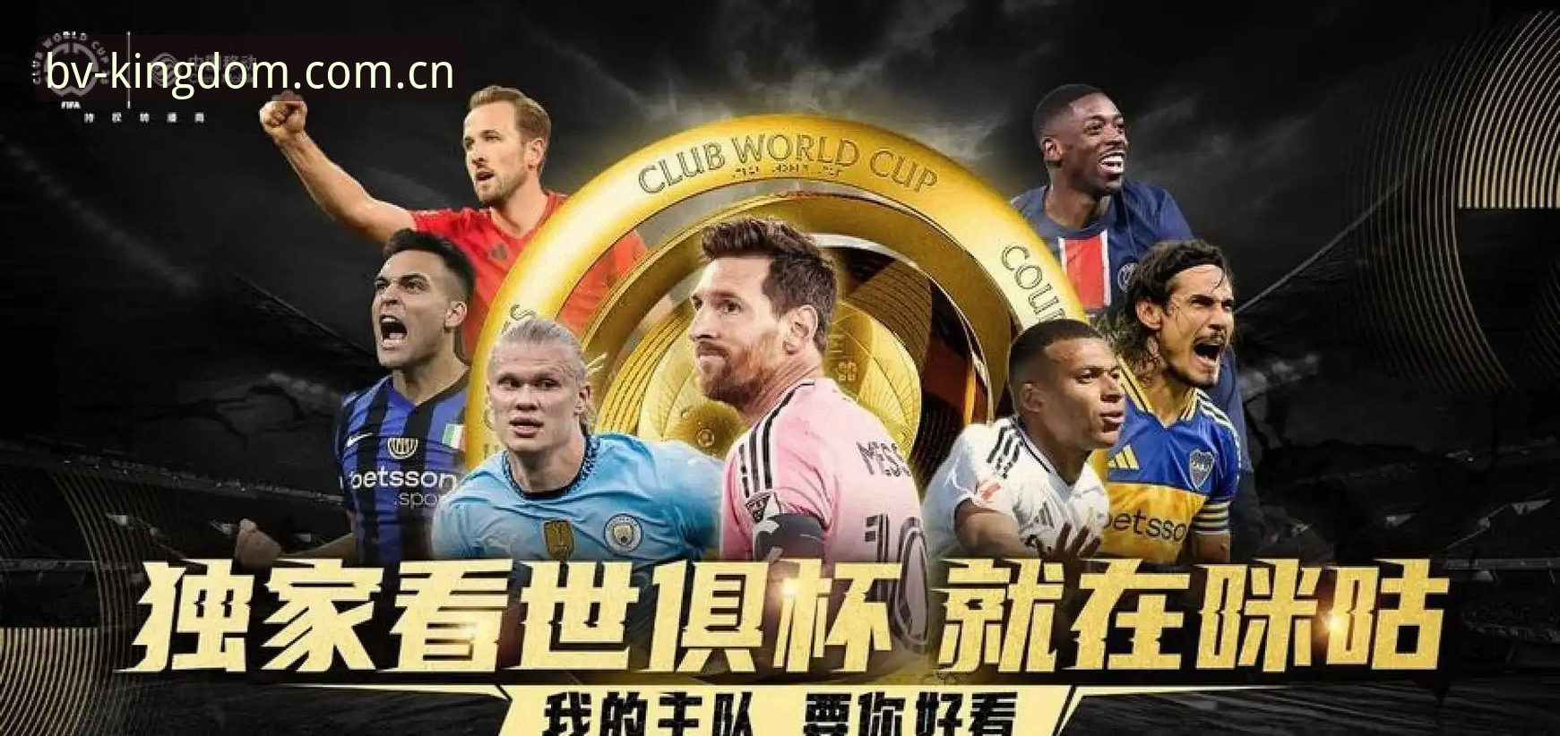 世界杯观赛签证问题解析：在伟德体育平台追踪赛事动态的实用指南
